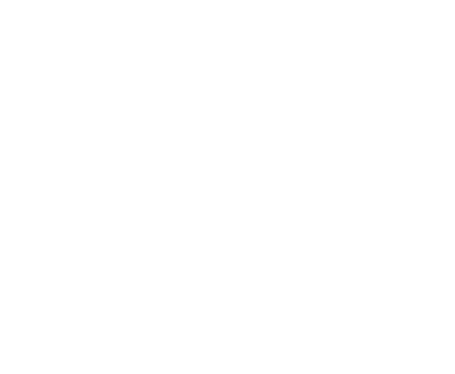 ارم دکتر فیروزه ای