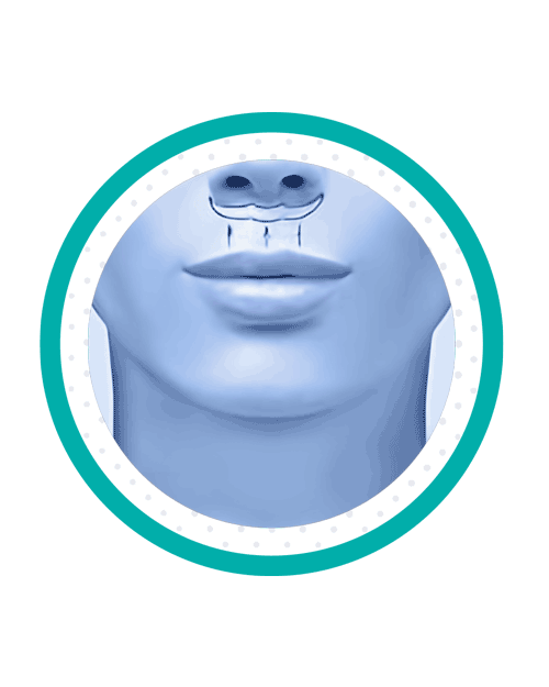 سانترال لب